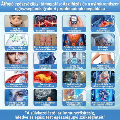 Magyar szakértők által ajánlott 🌿 FFBSI® anyagcsere-támogató karcsúsító nano mikro-tűs tapasz