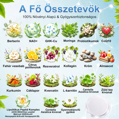 Magyar szakértők által ajánlott 🌿 FFBSI® anyagcsere-támogató karcsúsító nano mikro-tűs tapasz